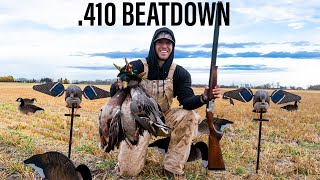 ALBERTA DUCK HUNT WITH 410 GAUGE [upl. by Enirahtac178]