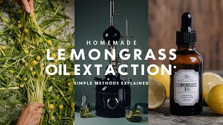 DIY Lemongrass Oil Extraction StepbyStep Guide [upl. by Acissehc]