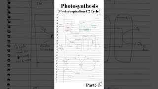 photorespiration  c2 cycle  c2 cycle in photosynthesis Part5 csirnet photosynthesis shorts [upl. by Gallagher219]