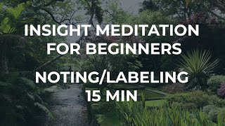 Guided Introduction to Insight Meditation  Noting  15 minutes [upl. by Inahet]