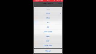 How To Convert HEICHEIF Image Files To JPG On iPhone [upl. by Nosyarg]