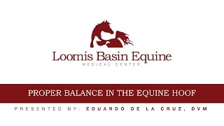 Loomis Basin Equine Medical Center  Proper Balance in the Equine Hoof  Eduardo De La Cruz DVM [upl. by Hinson]