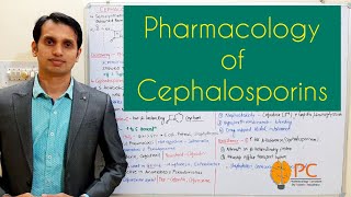 Pharmacology of Cephalosporins Beta Lactams  Cell Wall Synthesis Inhibitors [upl. by Suivat]