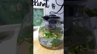 Slow mornings  Savoury crepes Lavender leaves harvest  Detox watertea foodshorts [upl. by Judus]