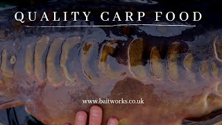 BAITWORKS Quality Carp Food  CarpFishing [upl. by Nodnelg]