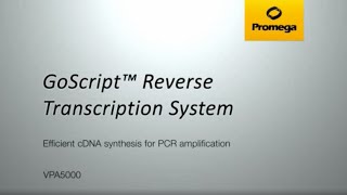 GoScript™ Reverse Transcription System [upl. by Arty]