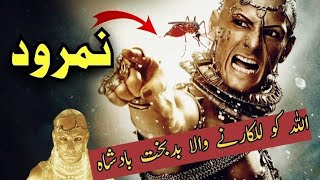 The story of Nimrod king of Babylon  namrood  namrood ki maut  hazrat Ibrahim as [upl. by Gibbeon]