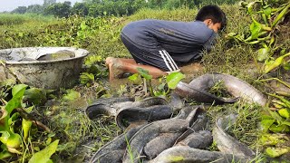 Amazing Hand Fishing Lots Big Fish Catching Using Primitive Fishing Method  Catching Fish 2024 [upl. by Yrahca]