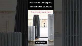 Acoustique DesignIntérieur TotemAcoustique [upl. by Asyla443]