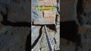 जहरीला सांप🐉कैसे निकाला दीवार से ध्यान से देखेंsnakechannel dangeroussnake shortsfeed [upl. by Ahsilem]