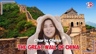 Char in China The Great Wall of China [upl. by Eanram]