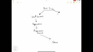 Mechanism of Edema Formation in Nephrotic Syndrome [upl. by Karleen]