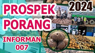 BERITA PORANG • PROSPEK PORANG 2024 [upl. by Aketal]