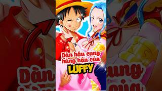 Luffy và dàn hậu cung đỉnh cao onepiece luffy anime shorts [upl. by Giuditta]