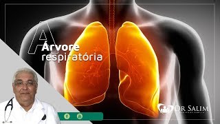 Inflamação na Árvore Respiratória  Dr Salim CRM 43163 [upl. by Nnairet672]