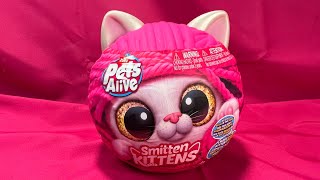 Pets Alive Interactive Smitten Kitten Plush Assortment By ZURU Unboxing amp Playthrough [upl. by Lenehc351]