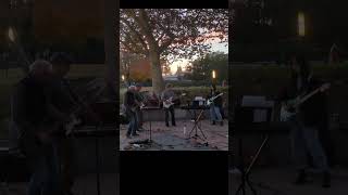 Freebird Outro lynyrdskynyrd livemusic paloalto sfbayarea mitchellpark [upl. by Enimaj]