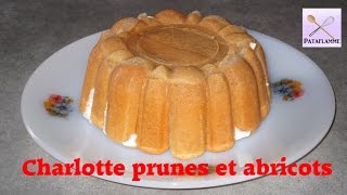 La charlotte aux prunes et aux abricots recette facile et rapide [upl. by Enytnoel]