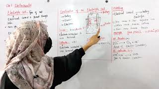 Electrolytic Cell Construction Working Class 09  Lecture No 2  Chapter No 07  Electrochemistry [upl. by Mastic922]