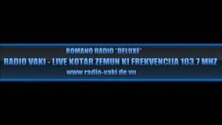 Denis DemirovicZeneva 2009RAdioVakiZemun [upl. by Hanafee]