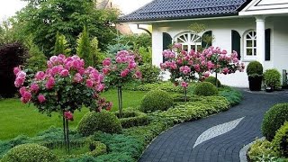 Modern Front yard And Backyard Design Ideas 2023 Small Garden Landscaping Design Ideas landscape [upl. by Lewert898]