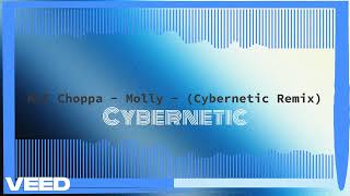 NLE Choppa  Molly  Cybernetic Remix [upl. by Kavanaugh546]