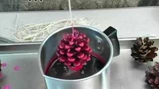 How to Pine Cone Fire Starters [upl. by Anitsirc784]