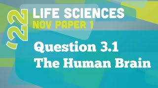 Past Papers 2022 Life Science Paper 1 Question 31 [upl. by Blakelee]