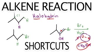 Alkene Reaction Shortcuts and Products Overview by Leah Fisch [upl. by Dena]