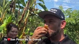 Ciruelas duraznos capulines plátanos en la Puente California [upl. by Jehiel605]