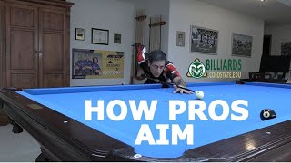 HOW TO AIM in Pool and Billiards … The AIMING SYSTEM of the PROS [upl. by Gibbeon52]