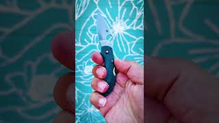 Dragonfly™ 2 K390 Spyderco SpydercoKnives [upl. by Sinnel]