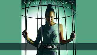 SHONTELLE  IMPOSSIBLE LYRICS [upl. by Brecher]