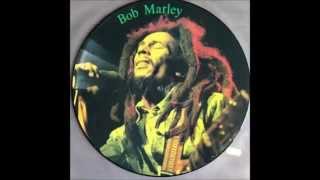 Bob Marley  Get Up Stand Up The Reflex Stems ReVision [upl. by Annanhoj]