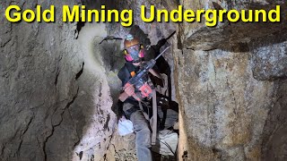 Pounds and Pounds of Gold I Mined Gold at Sterling Creek Mine  Glenn Wadstein [upl. by Ahse365]