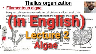 Algae Lecture 2  Thallus Organisation [upl. by Leirol]