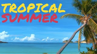 Tropical Summer Upbeat Background Music 1 Hour [upl. by Ynitsed]