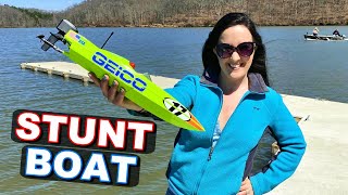 BRUSHLESS amp FAST RTR RC Boat  Pro Boat Miss GEICO 17quot Power Boat  TheRcSaylors [upl. by Eednus]