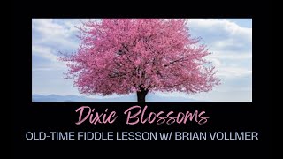 Dixie Blossoms  OldTime Fiddle Lesson wBrian Vollmer [upl. by Uke970]