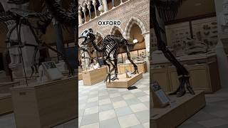 Oxford Museum shorts travel uk [upl. by Sim612]