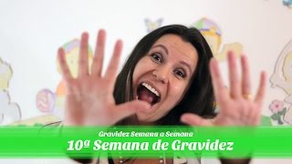 10ª Semana de gravidez [upl. by Feenah345]