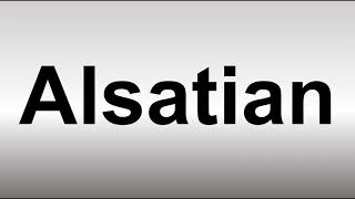 How to Pronounce Alsatian [upl. by Lemor525]