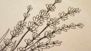 How To Draw flowers  Draw Lavender Flowers [upl. by Pharaoh]