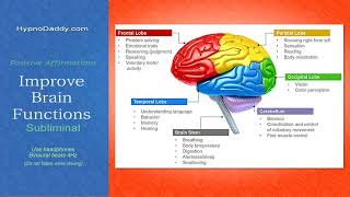 Improve brain function subliminal HypnoDaddy [upl. by Nissie]