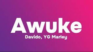 Davido YG Marley  Awuke Lyrics [upl. by Oruhtra]