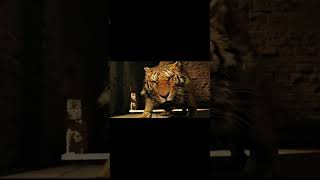 Man Tamping a Tiger shorts shortvideo subscribe movieclip youtube youtubeshorts share [upl. by Haelat]