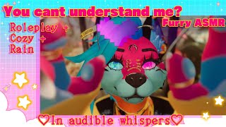 You cant understand me In audible whispers Roleplay  Cozy  Rain Furry ASMR [upl. by Ettenna]