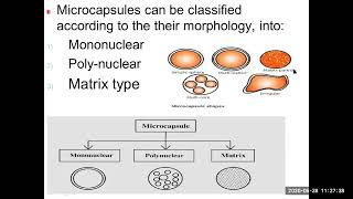 Microencapsulation part one [upl. by Brannon]