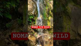 😝Nomad vs Wild 🤔 ytshorts shorts nomad wildlife nature travel beautiful [upl. by Ynamreg626]