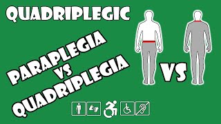 Paraplegia vs Quadriplegia Explained  Quadriplegic C5C6C7 [upl. by Gonyea]